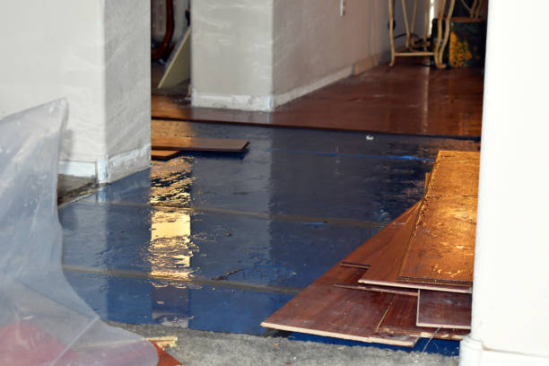 Professional Water Extraction technician working in White Cottage, OH